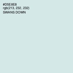 #D5E8E8 - Swans Down Color Image